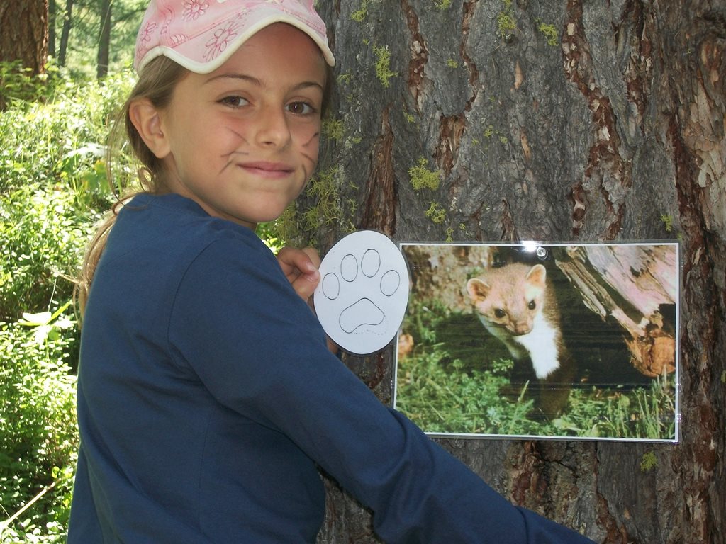 Attività sulla fauna - Foto Archivio FGP