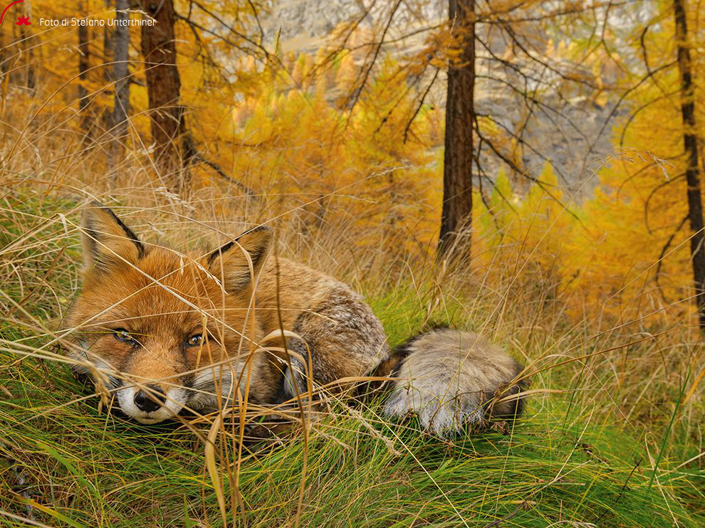 Foto di Stefano Unterthiner - Paradise Found_0.jpg
