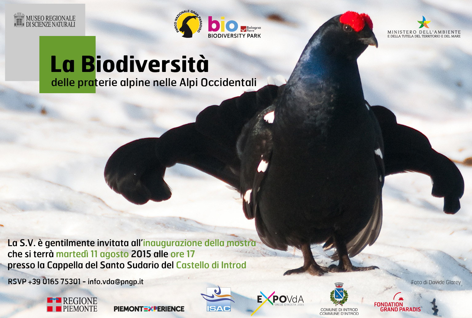 Invito - mostra biodiversità delle praterie alpine nelle alpi occidentali