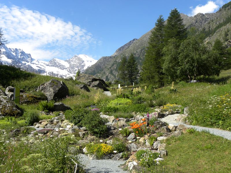 Viote Alpine Botanical Garden - Virtual Tour 360°