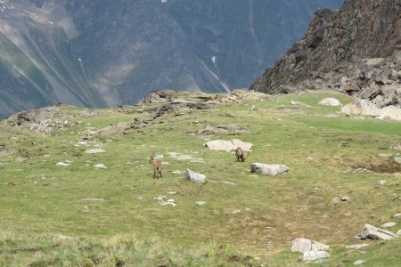 Rete4 Life Uomo e natura - shooting nel Gran Paradiso (13).jpg