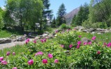 Foto archivio Parco Nazionale Gran Paradiso