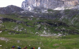 Giroparchi Nature Trail parco gran paradiso ragazzi vda trekking