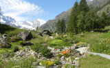 Giardino botanico alpino Paradisia