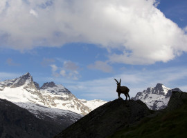 Anne Erik Lapied Gran Paradiso Le Temps d'une Vie