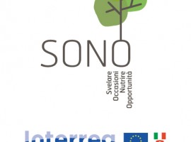 Logo SONO