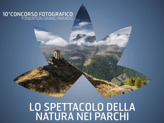 Concorso fotografico - Lo spettacolo della natura nei Parchi