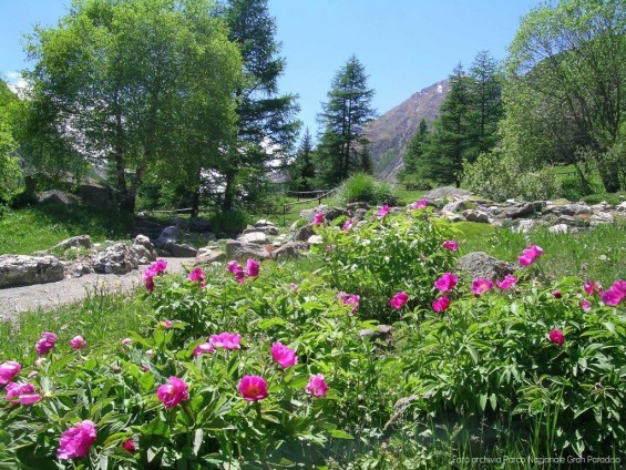 Foto archivio Parco Nazionale Gran Paradiso