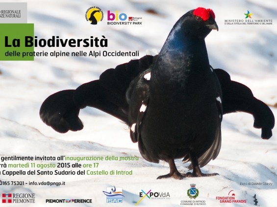 Invito - Mostra biodiversità Invito - Mostra biodiversità