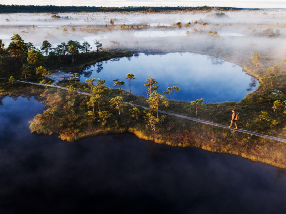 Ciak Natura nel mondo, le meraviglie dell'Estonia