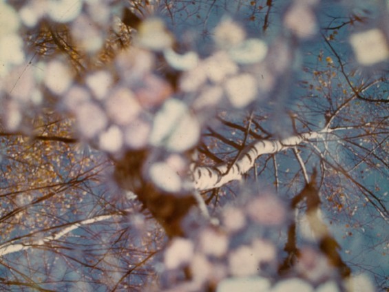 Foto di Louis Bochet - 1° premio Dans les yeux, dans les eaux - Archivio FGP