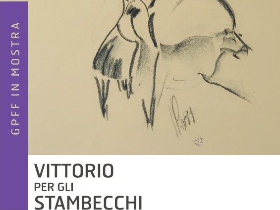 Vittorio per gli stambecchi