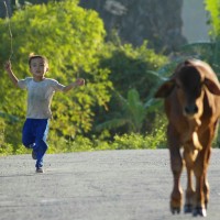 Foto di Andrea Ruberti