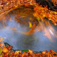 Magic pool di Vittorio Ricci - 3° premio Energia Natura - Foto Archivio FGP