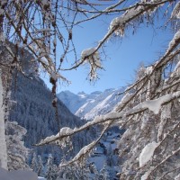 Nevicata Gran Paradiso - Archivio FGP