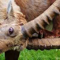 1° premio Pinterest - Fotografia di Nicola Grande 