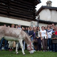 Viaggio Animali - Archivio FGP