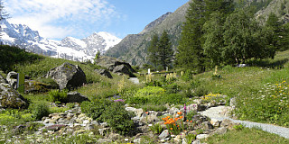 Giardino botanico alpino Paradisia